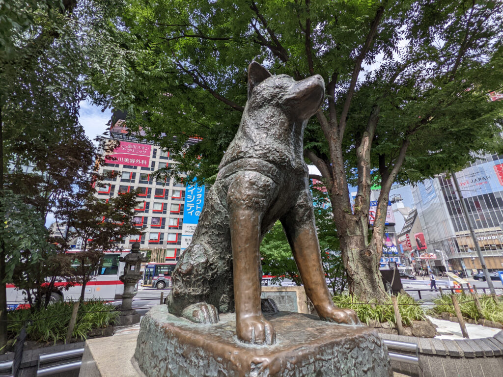 渋谷ってどんな街？エリア別の特徴や住みやすさをわかりやすく解説